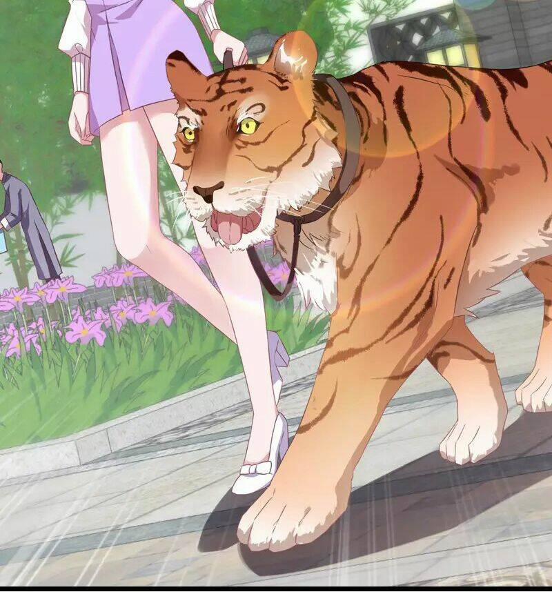 Ảnh Hậu Lão Bà Không Được Chạy 32 trang 35