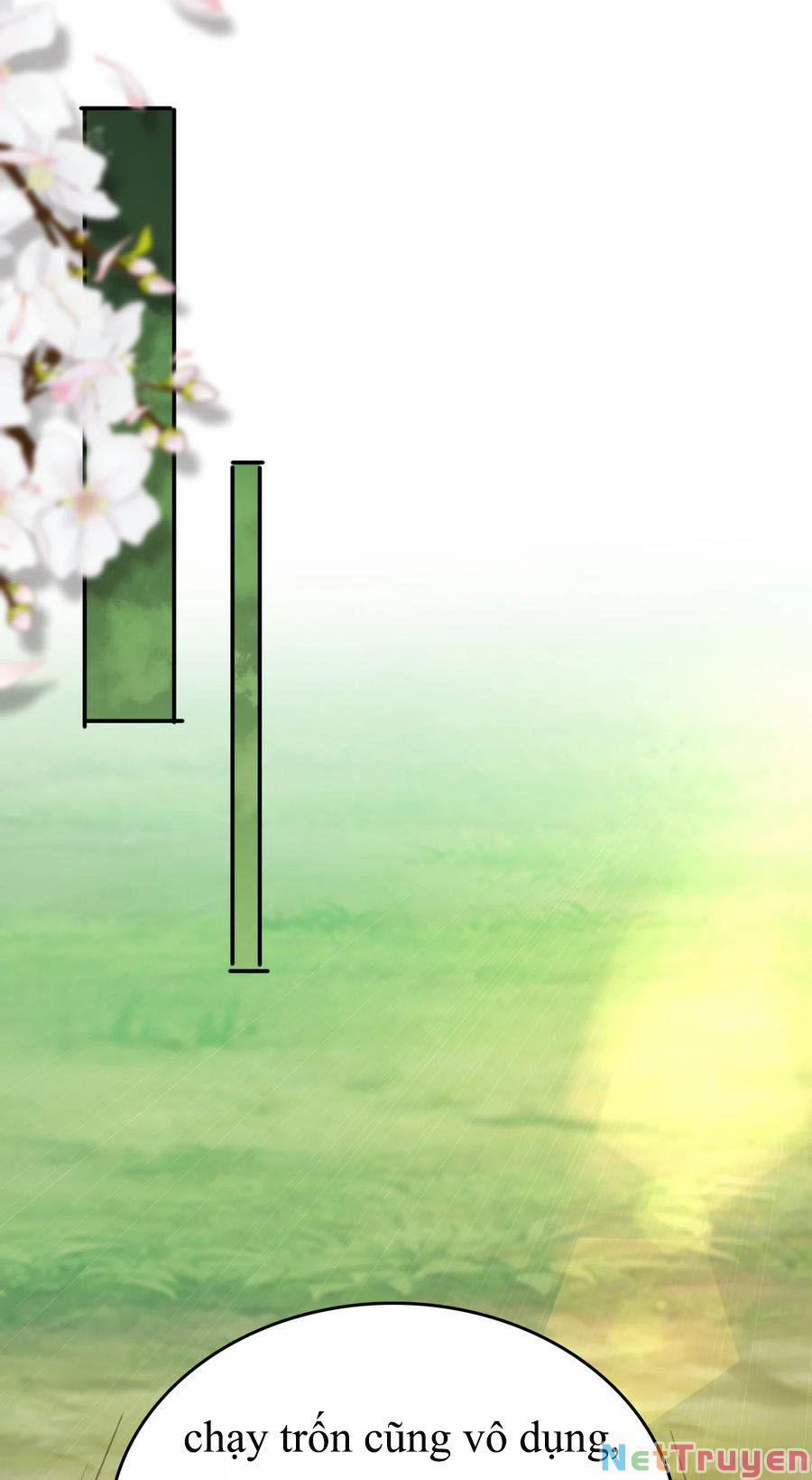 Anh Hùng Bàn Phím Tu Tiên 0 0 Từ Biệt, Kiếp sau trang 11