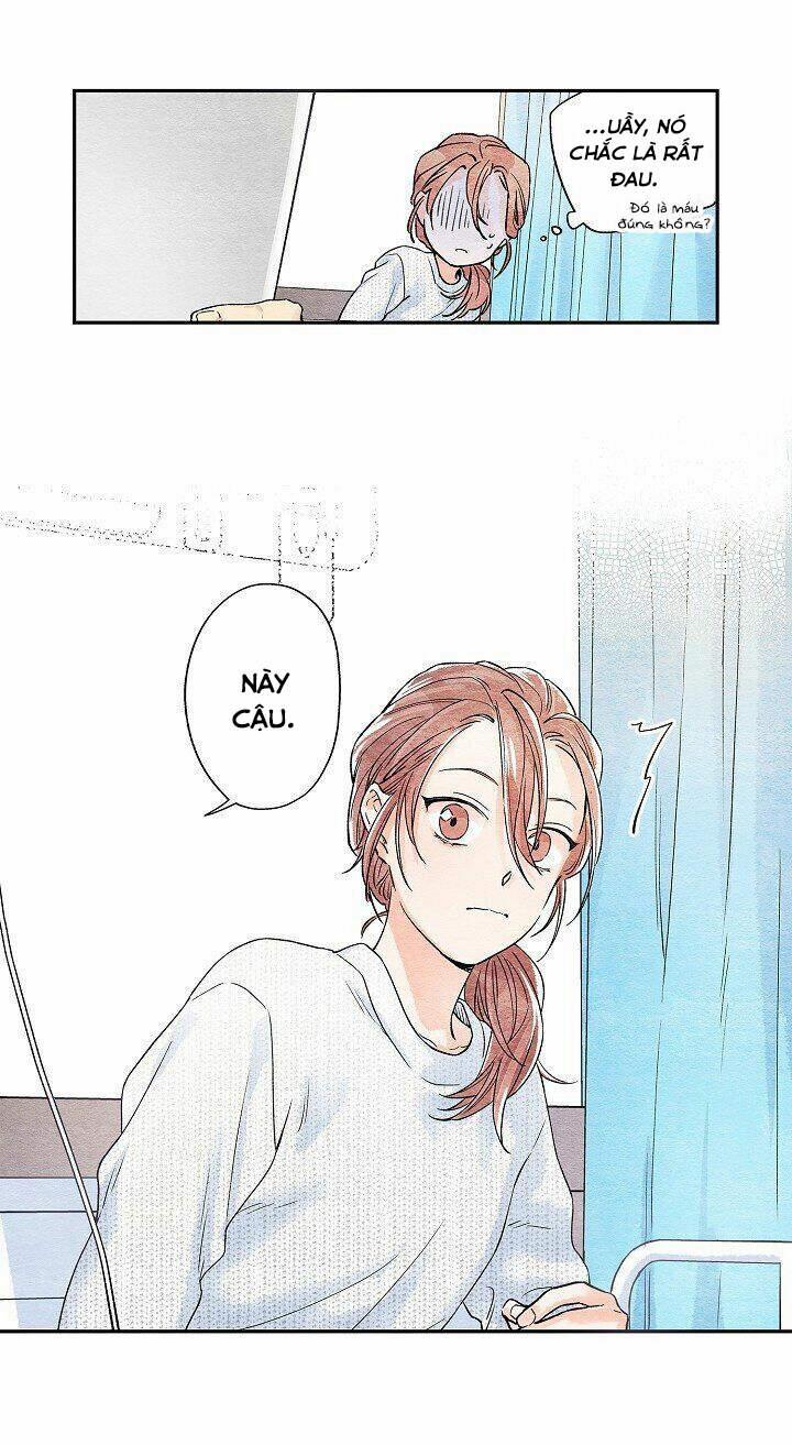 Ánh Nắng Rực Rỡ 2 trang 6