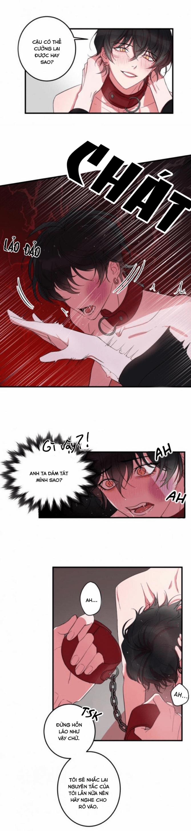 Anh người yêu có sở thích sex đặc biệt 4 trang 2