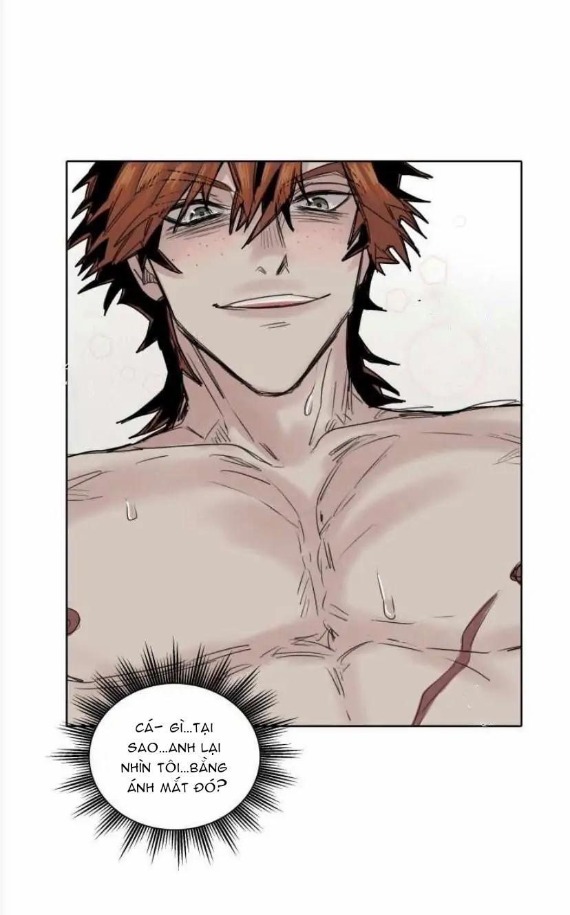 Ánh Nhìn Của Quạ 24 trang 16