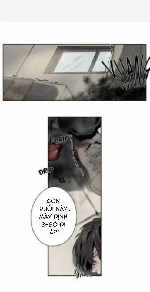 Ánh Nhìn Của Quạ 7 trang 4