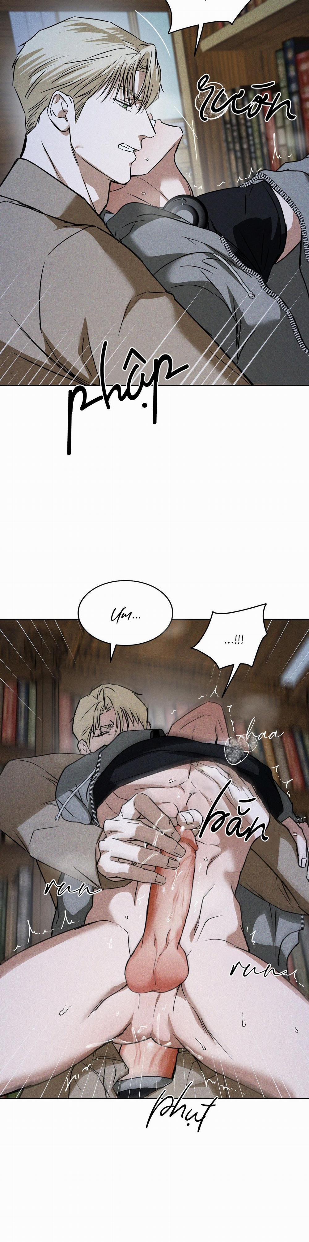 Ánh Nhìn 15 0 trang 27