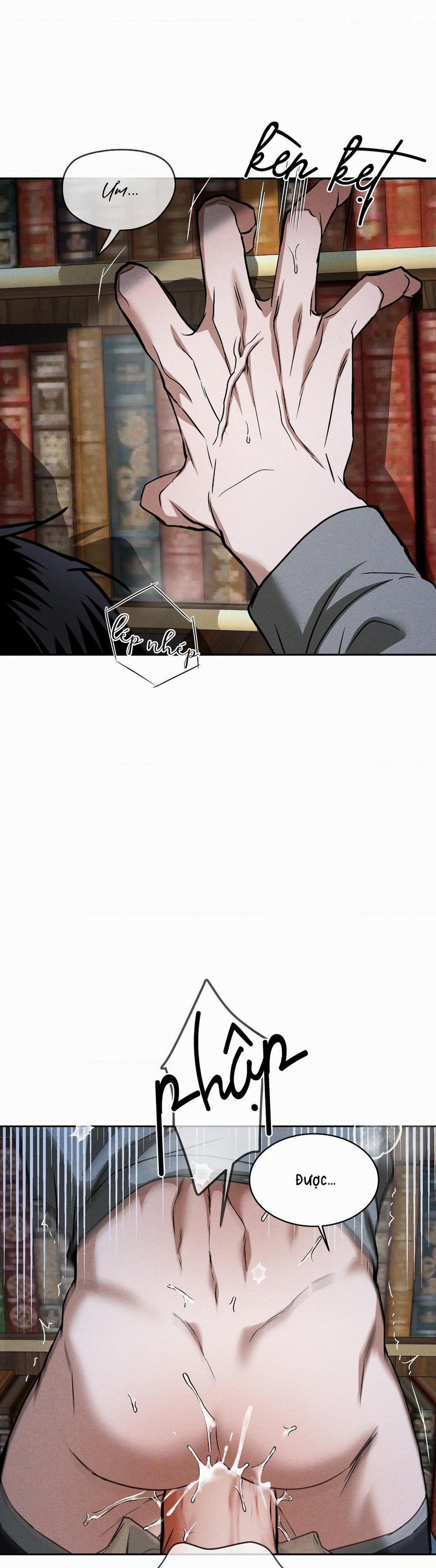 Ánh Nhìn 15 trang 16