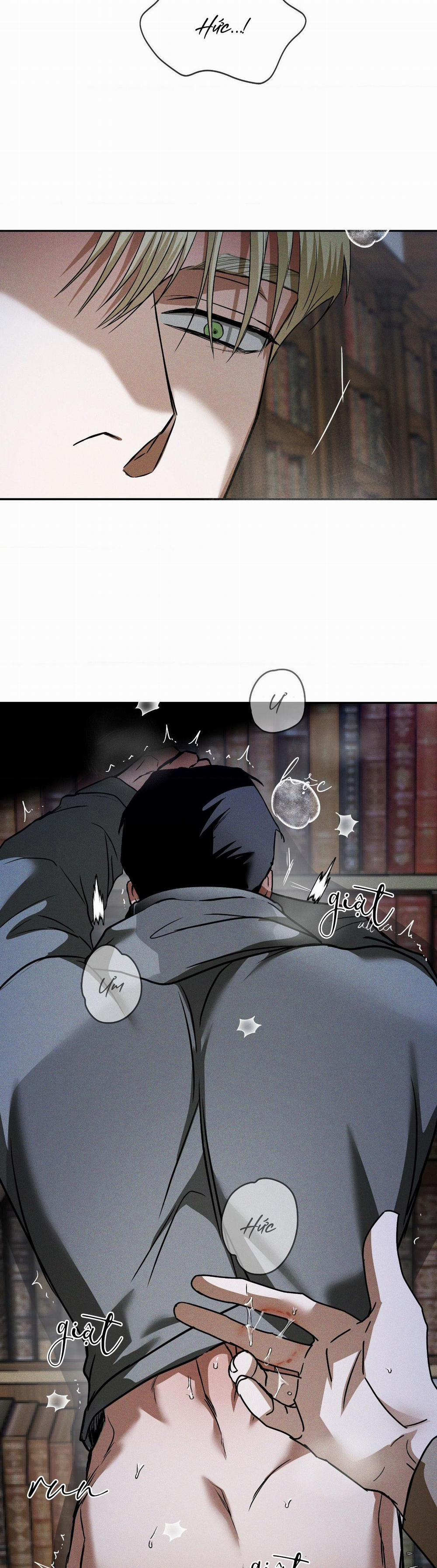 Ánh Nhìn 15 trang 17