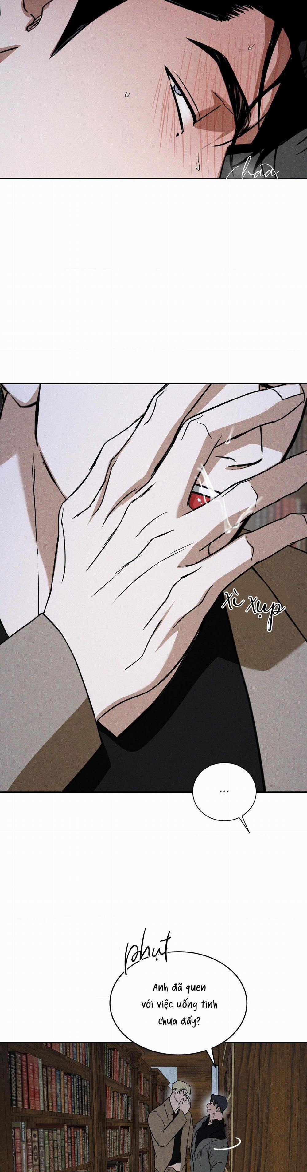 Ánh Nhìn 15 trang 29