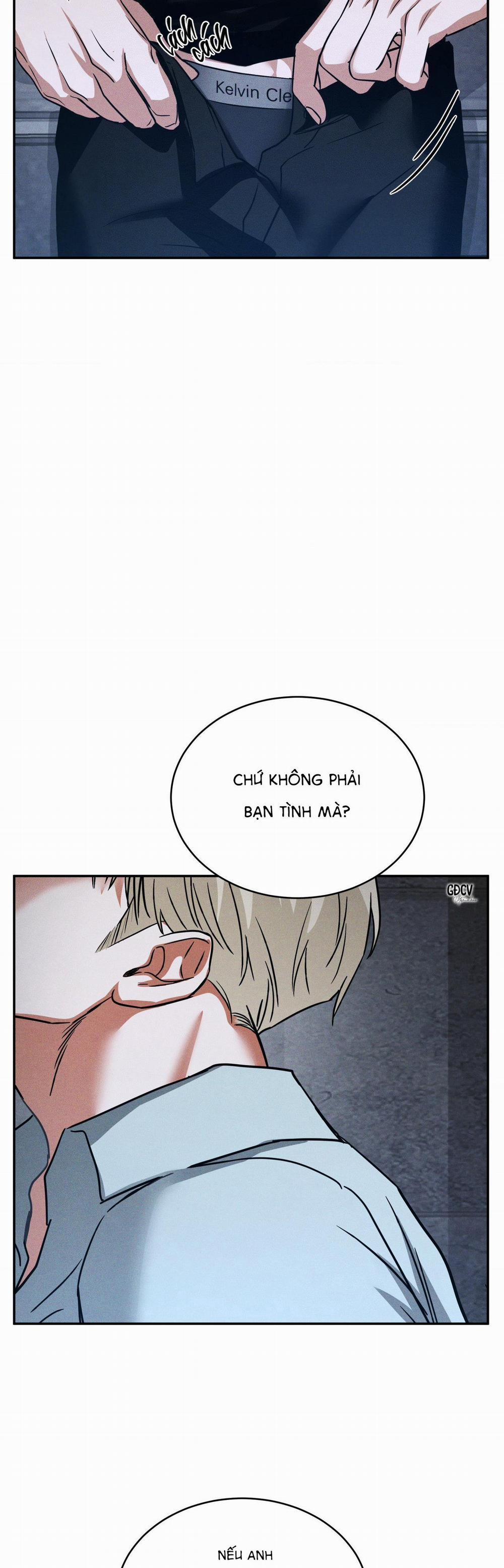 Ánh Nhìn 6 trang 28