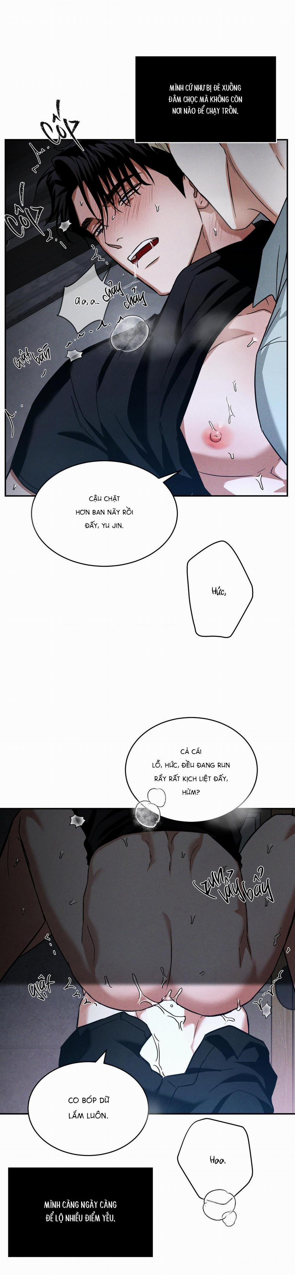 Ánh Nhìn 8 trang 16