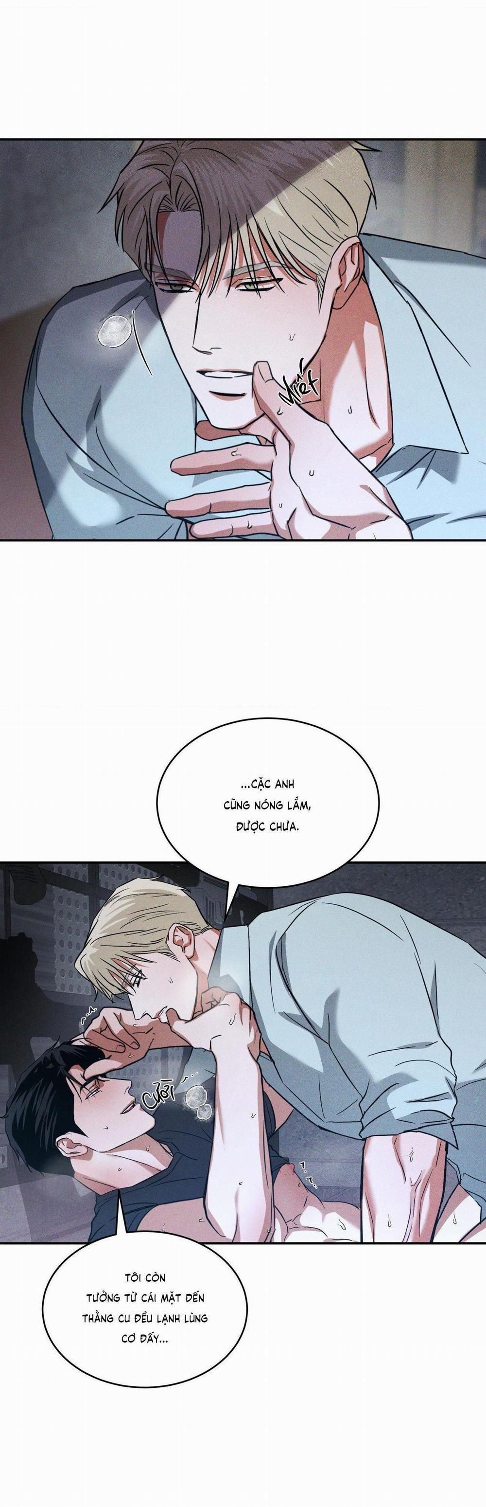 Ánh Nhìn 8 trang 19