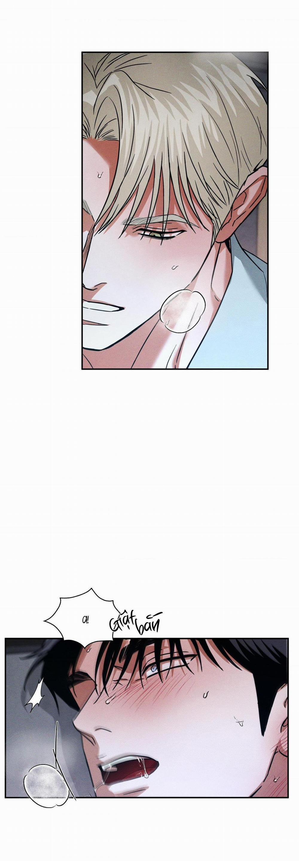 Ánh Nhìn 8 trang 24