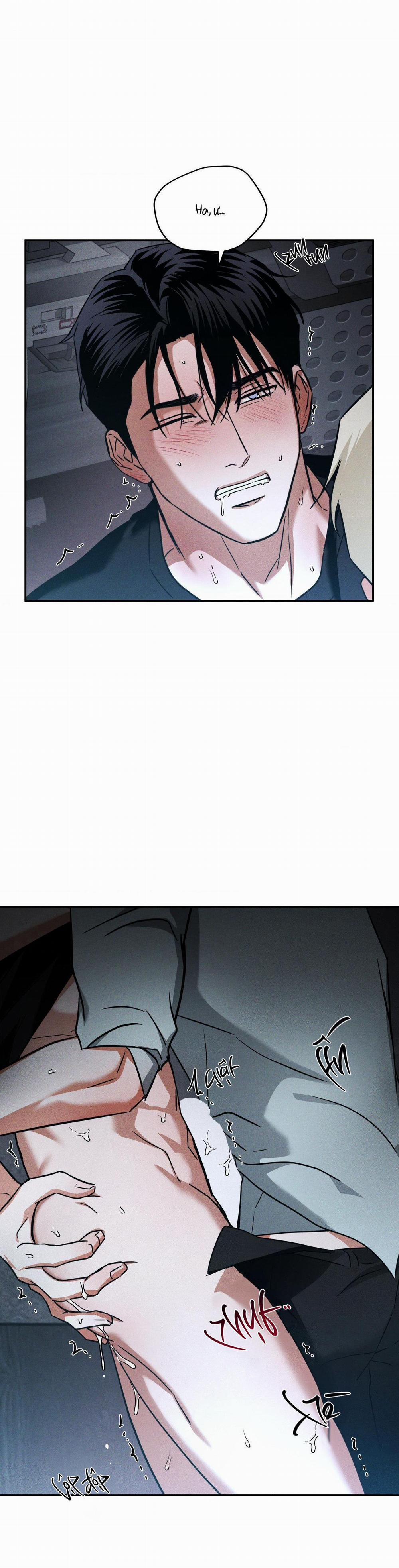 Ánh Nhìn 8 trang 28