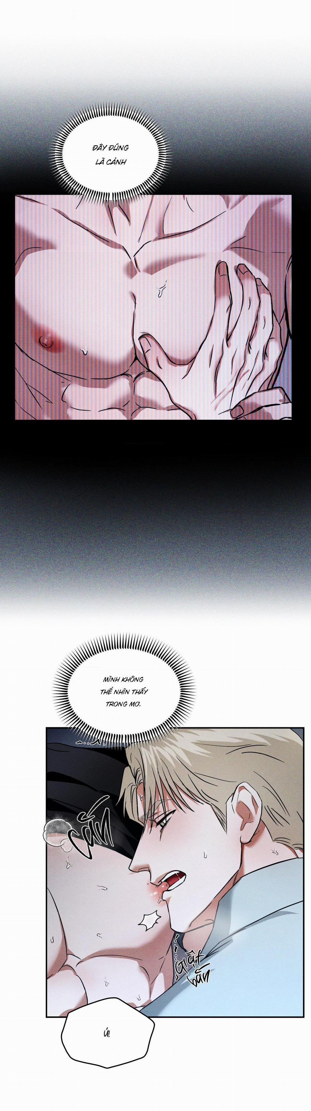 Ánh Nhìn 8 trang 5