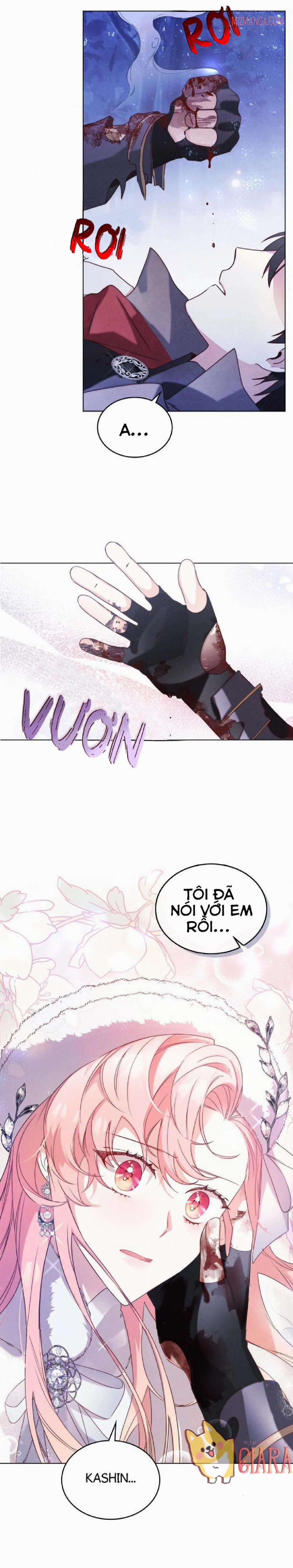 Ánh Sáng Vàng Của Bình Minh 0 trang 11