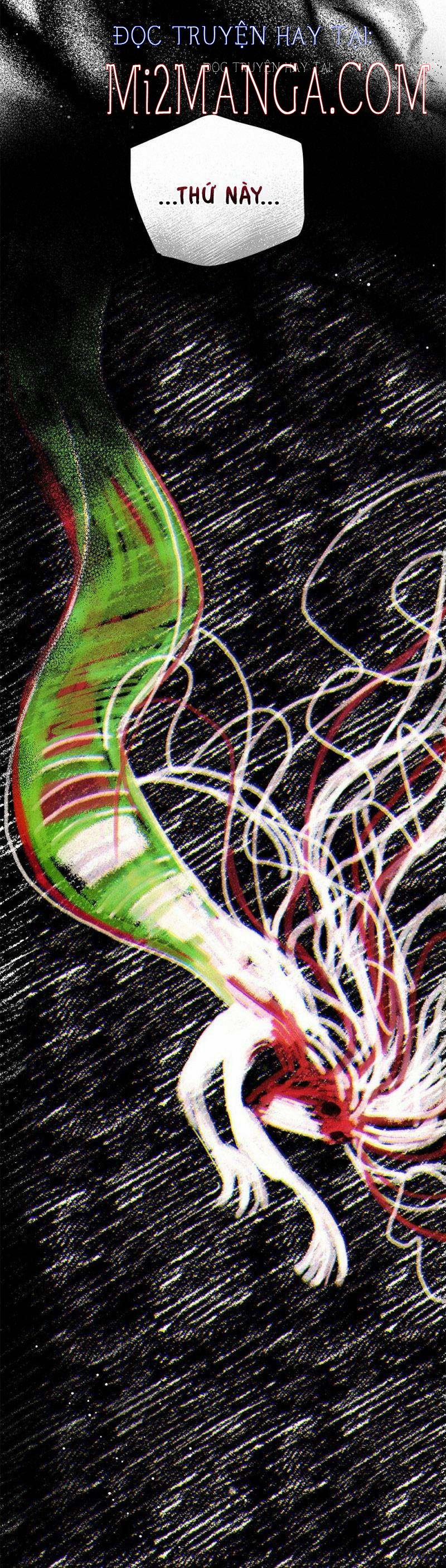 Ánh Sáng Vàng Của Bình Minh 11.5 trang 13