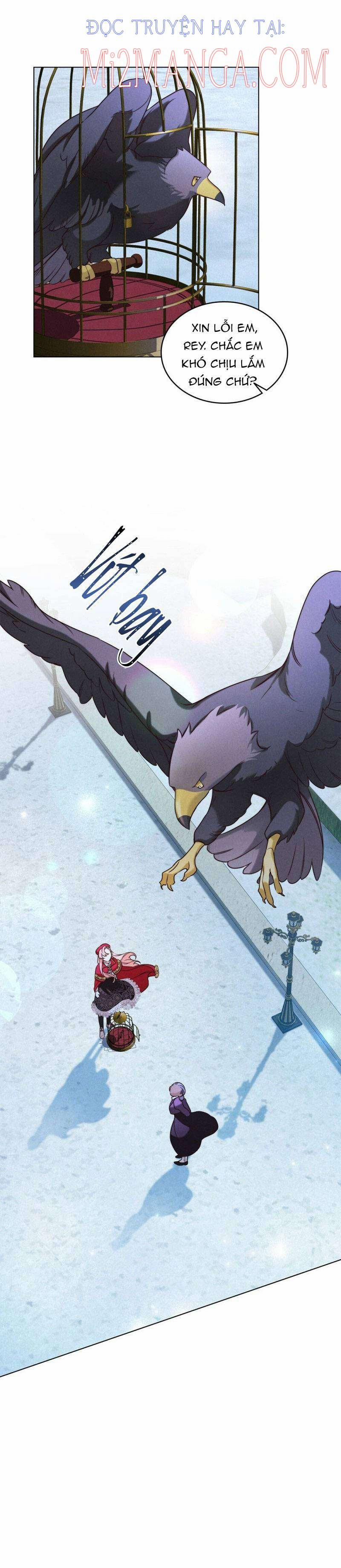 Ánh Sáng Vàng Của Bình Minh 11 trang 12