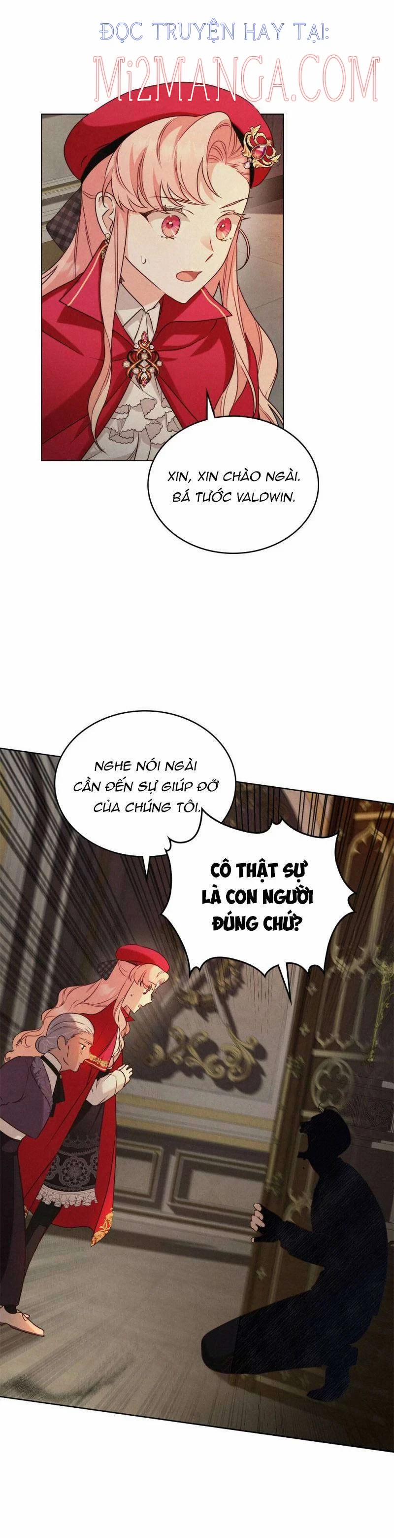 Ánh Sáng Vàng Của Bình Minh 11 trang 17