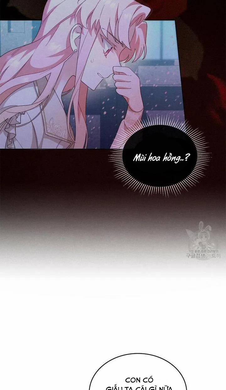 Ánh Sáng Vàng Của Bình Minh 16 trang 14