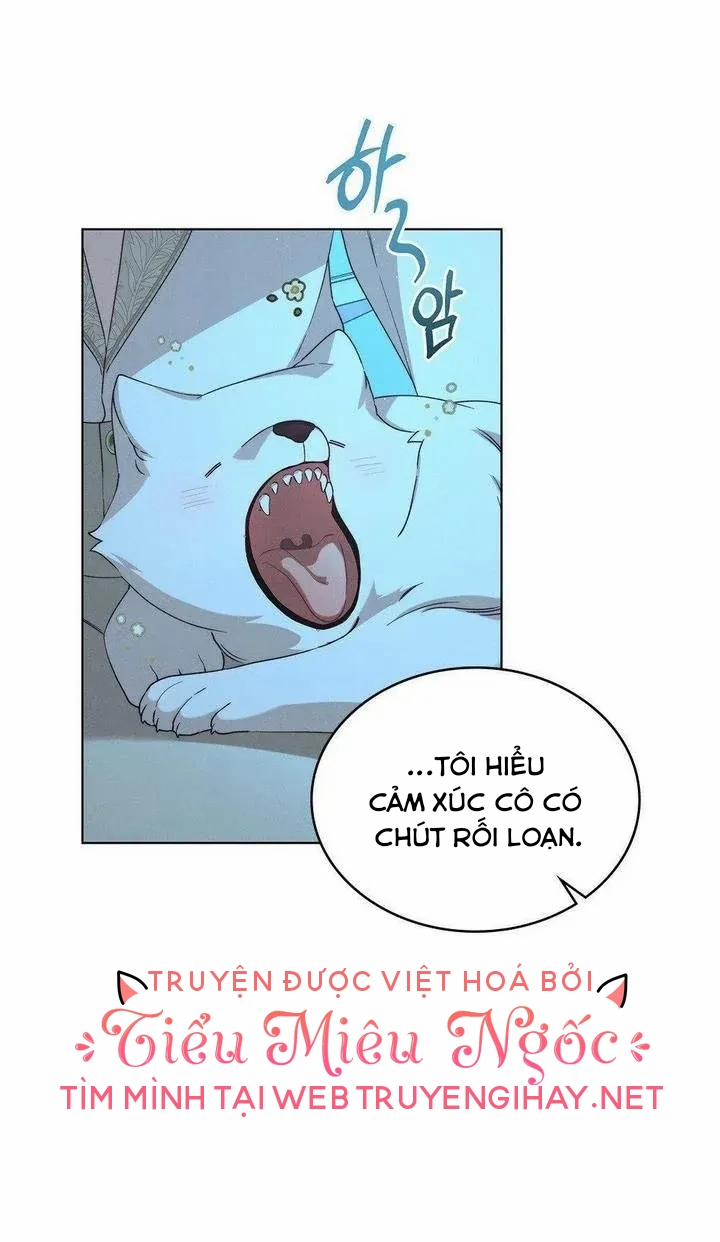 Ánh Sáng Vàng Của Bình Minh 16 trang 47