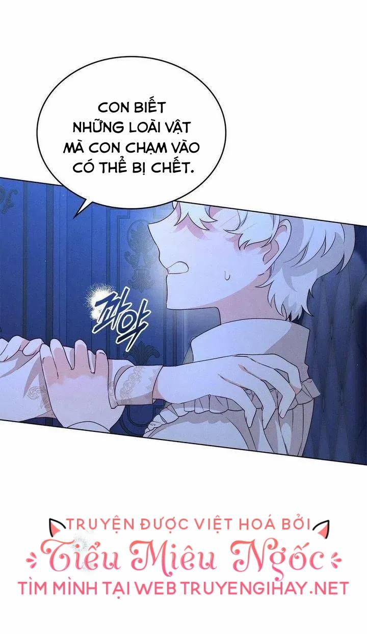 Ánh Sáng Vàng Của Bình Minh 16 trang 6