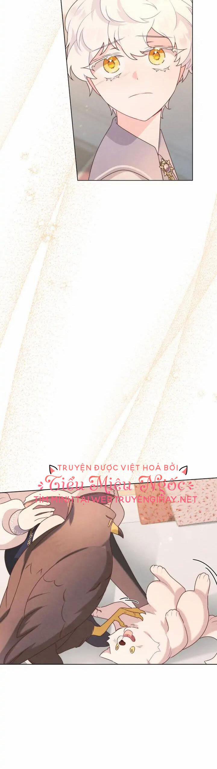 Ánh Sáng Vàng Của Bình Minh 28 trang 20