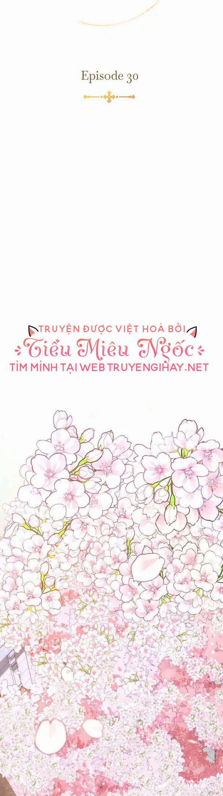 Ánh Sáng Vàng Của Bình Minh 30 trang 11