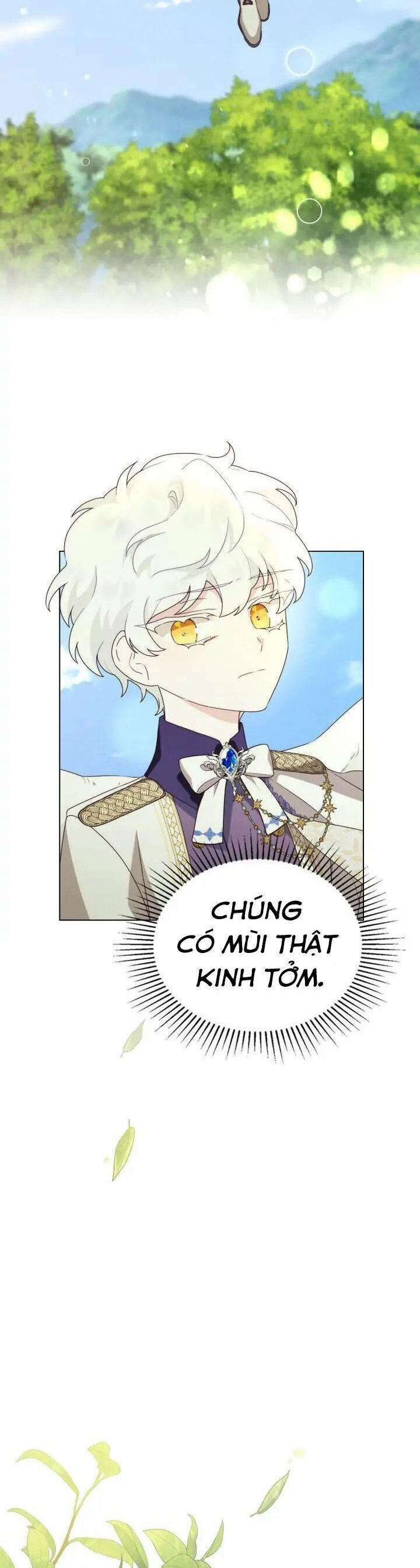 Ánh Sáng Vàng Của Bình Minh 34 trang 14