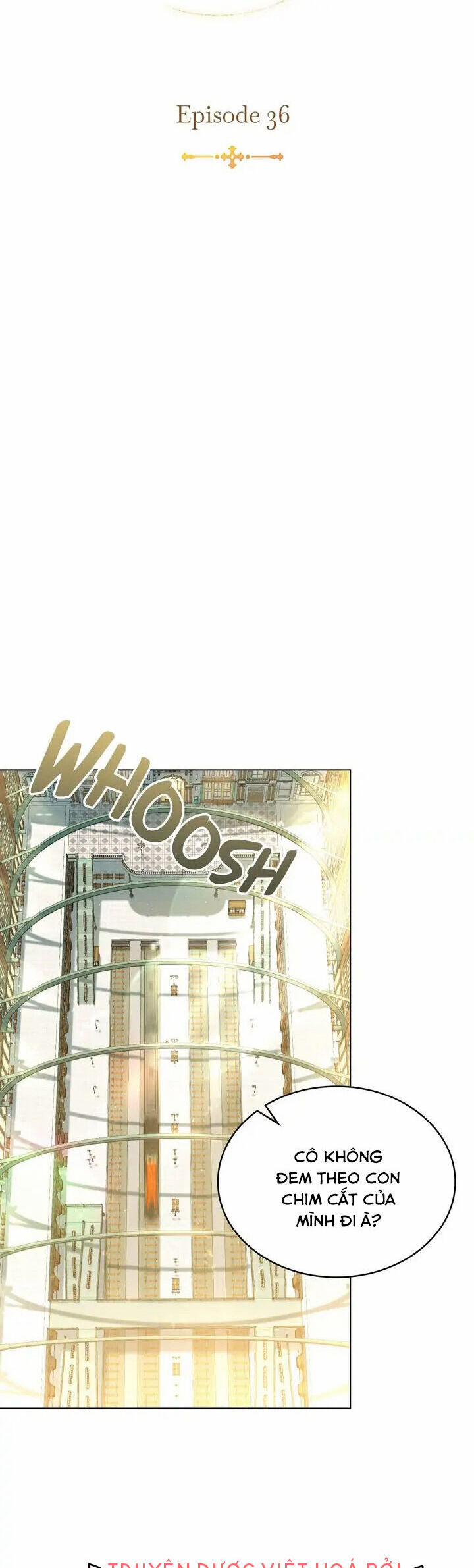 Ánh Sáng Vàng Của Bình Minh 36 trang 14