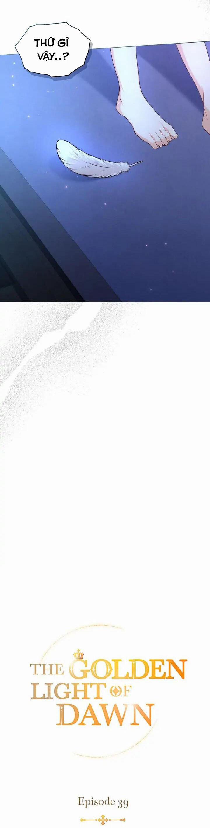 Ánh Sáng Vàng Của Bình Minh 39 trang 9