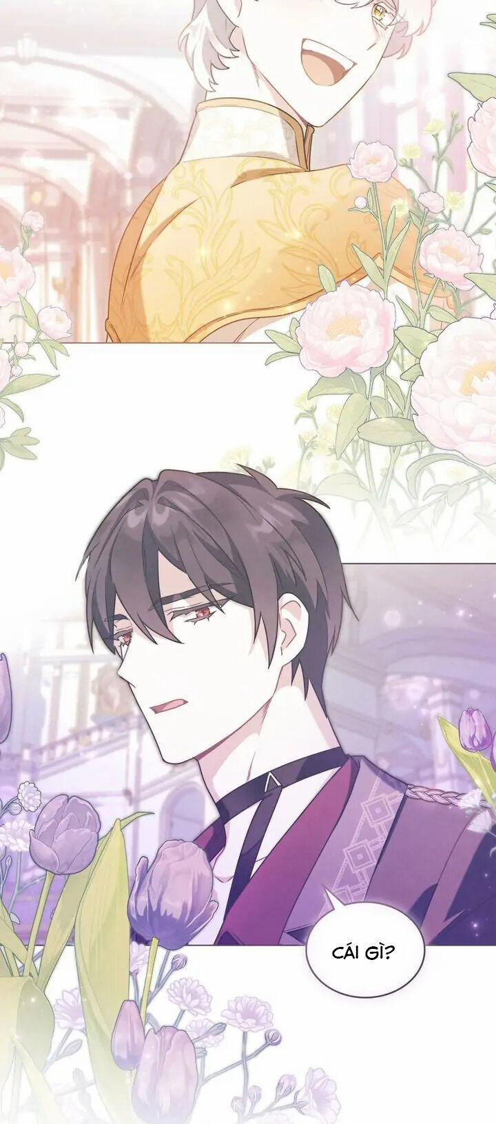 Ánh Sáng Vàng Của Bình Minh 48 trang 4