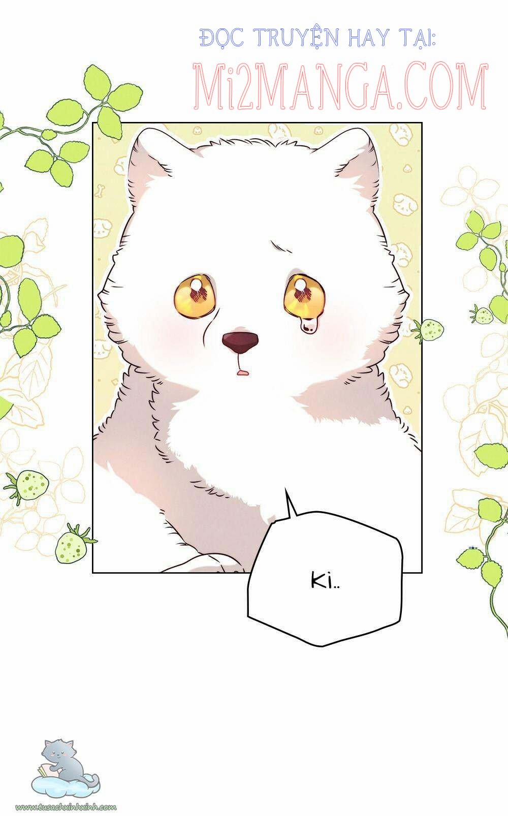 Ánh Sáng Vàng Của Bình Minh 5.5 trang 8