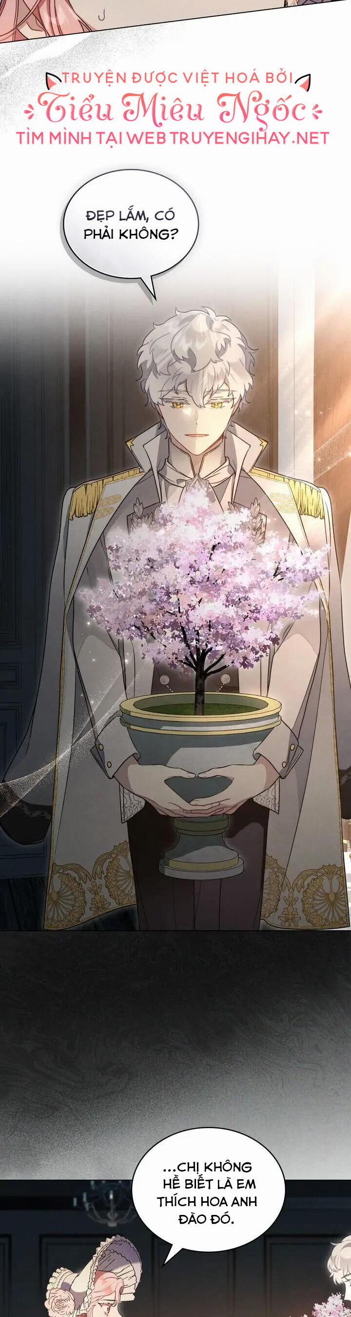 Ánh Sáng Vàng Của Bình Minh 51 trang 11