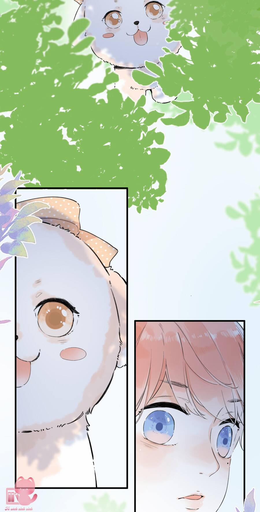 Ánh Sao Trôi Dạt Giữa Làn Nước 17 trang 13