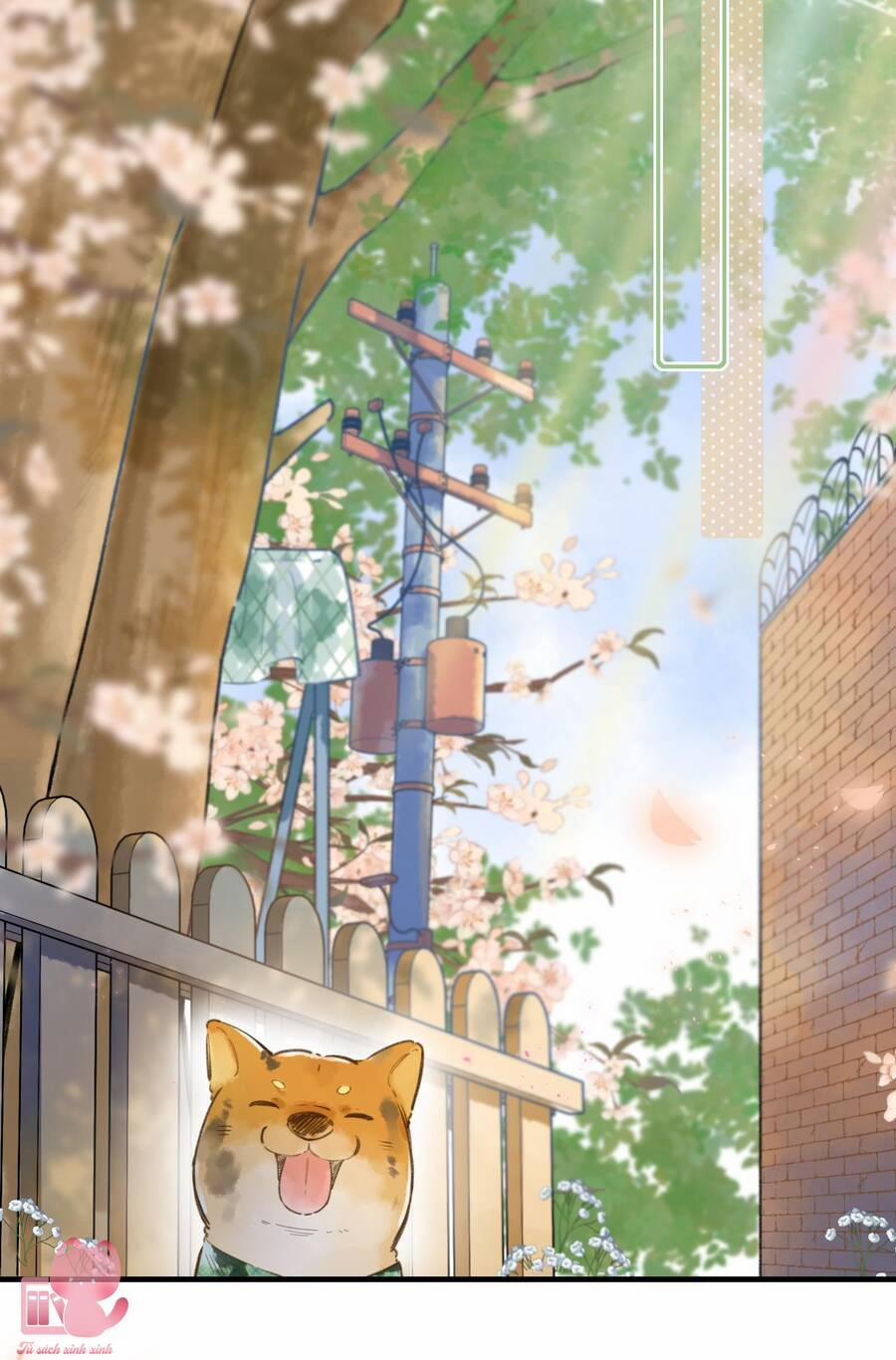 Ánh Sao Trôi Dạt Giữa Làn Nước 35 trang 6