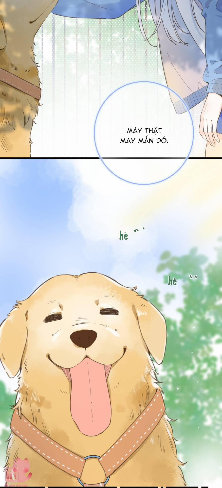 Ánh Sao Trôi Dạt Giữa Làn Nước 36 trang 14