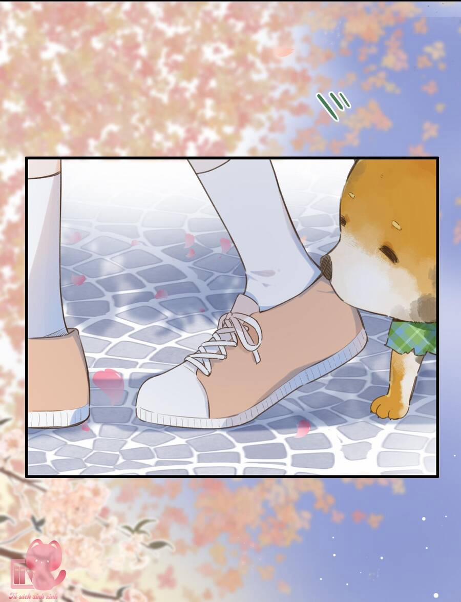 Ánh Sao Trôi Dạt Giữa Làn Nước 37 trang 23