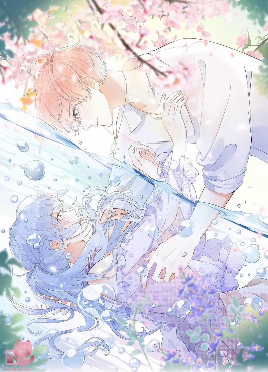 Ánh Sao Trôi Dạt Giữa Làn Nước 4 trang 0