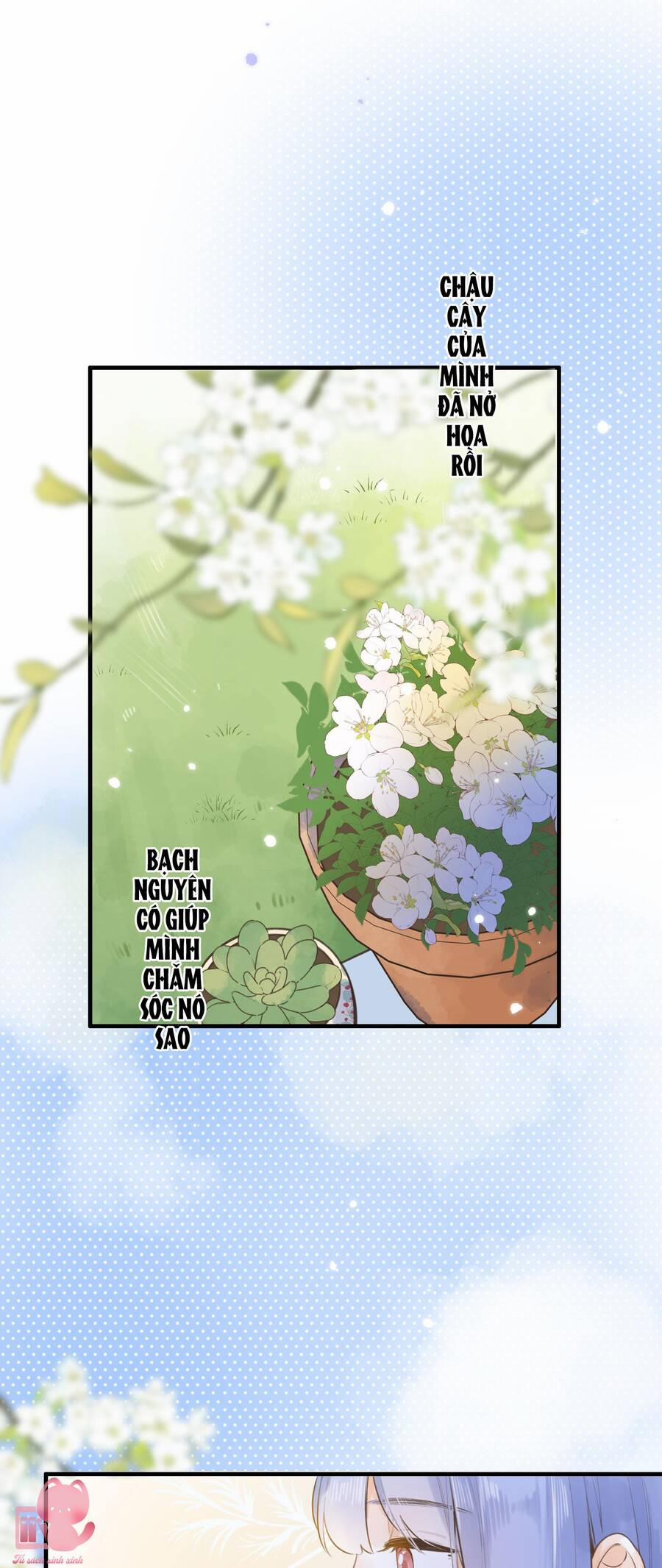 Ánh Sao Trôi Dạt Giữa Làn Nước 42.2 trang 18