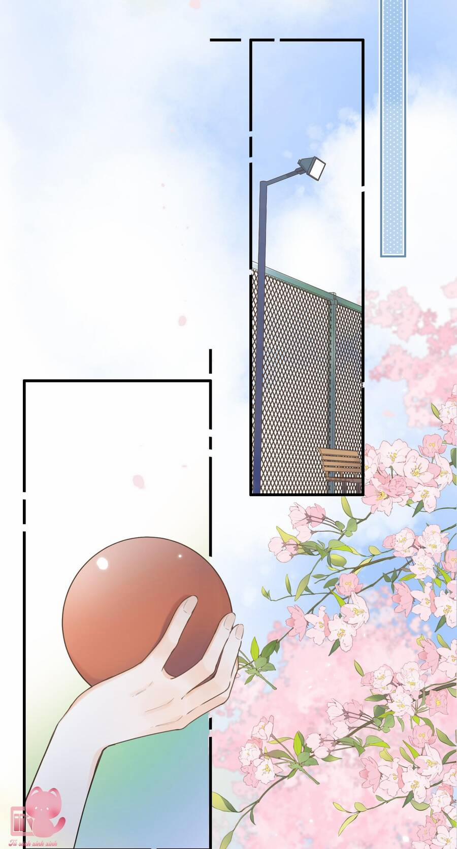 Ánh Sao Trôi Dạt Giữa Làn Nước 46 trang 3