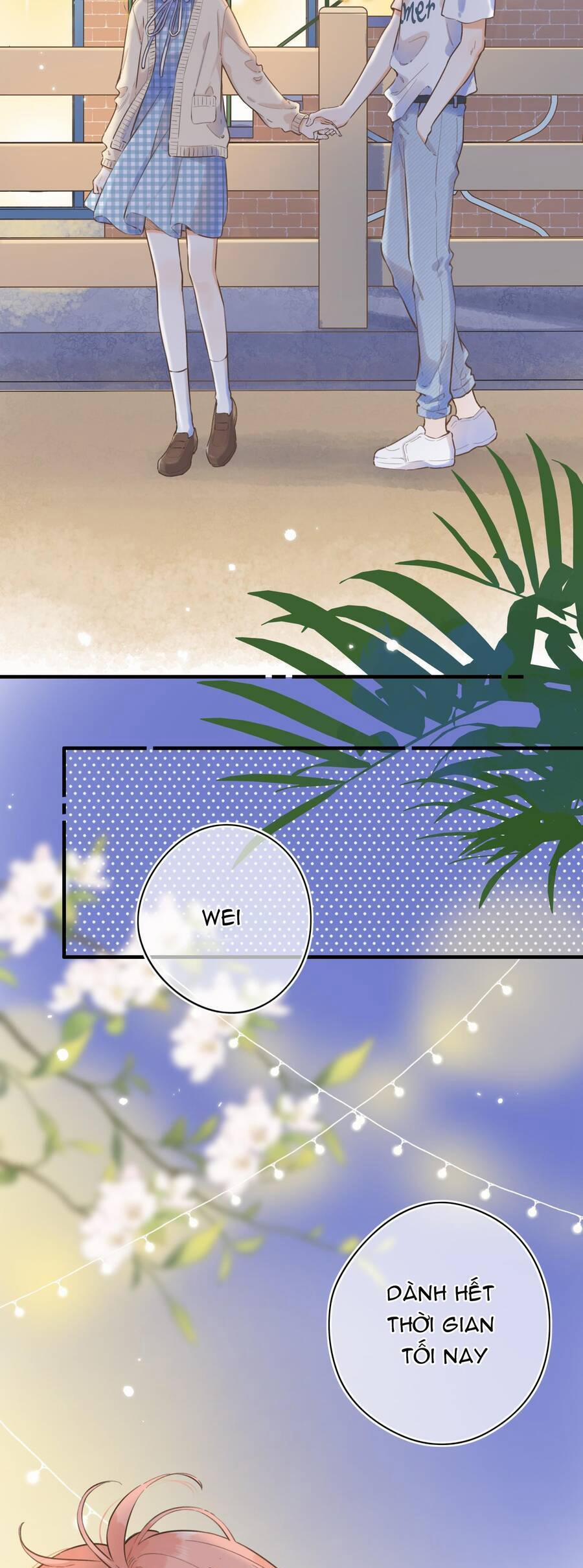 Ánh Sao Trôi Dạt Giữa Làn Nước 55 trang 6