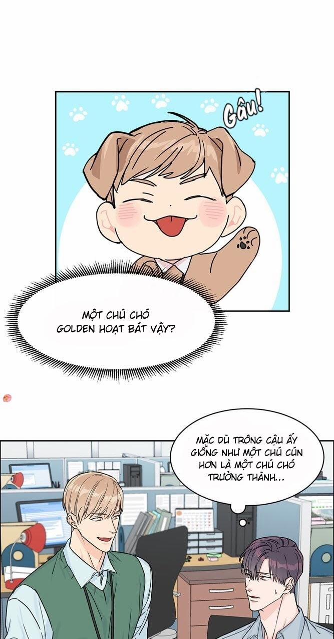 Anh sẽ đăng kí chứ? 19 trang 18