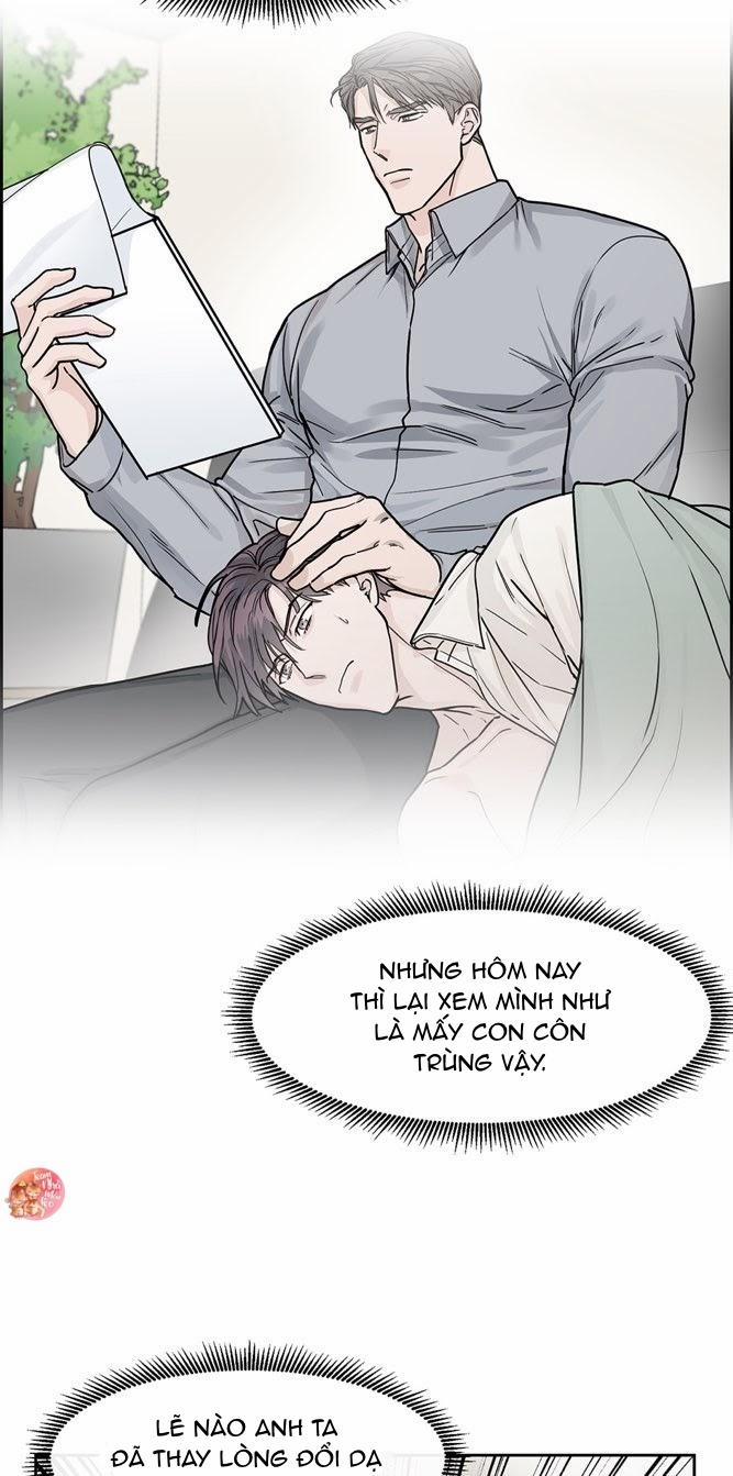 Anh sẽ đăng kí chứ? 21 trang 17