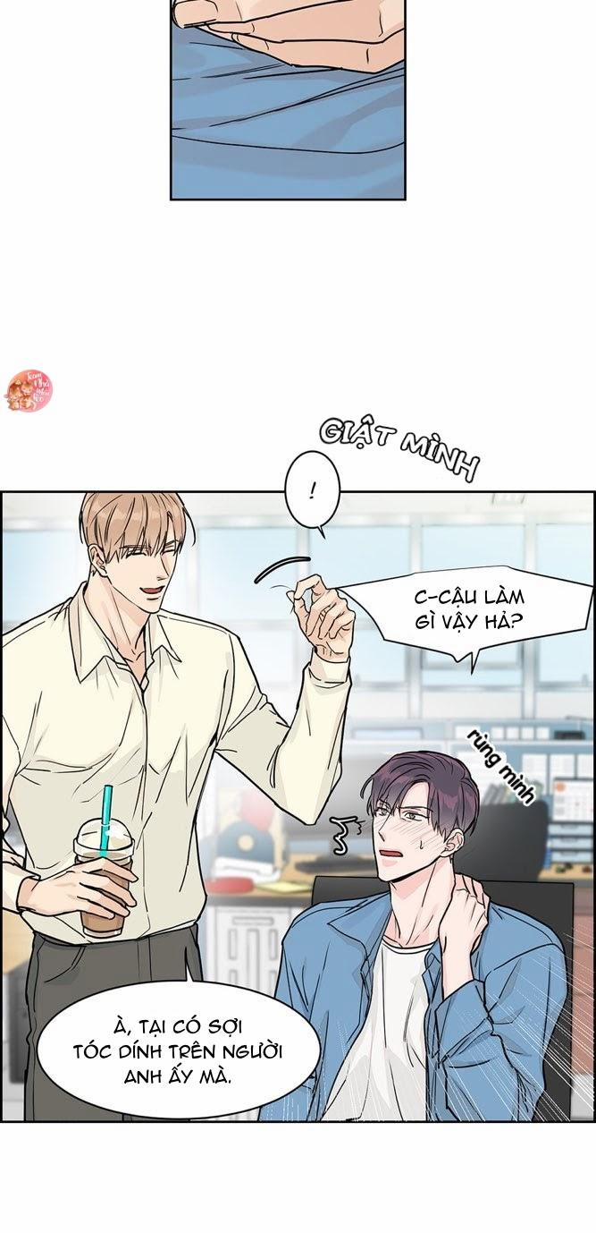 Anh sẽ đăng kí chứ? 21 trang 8