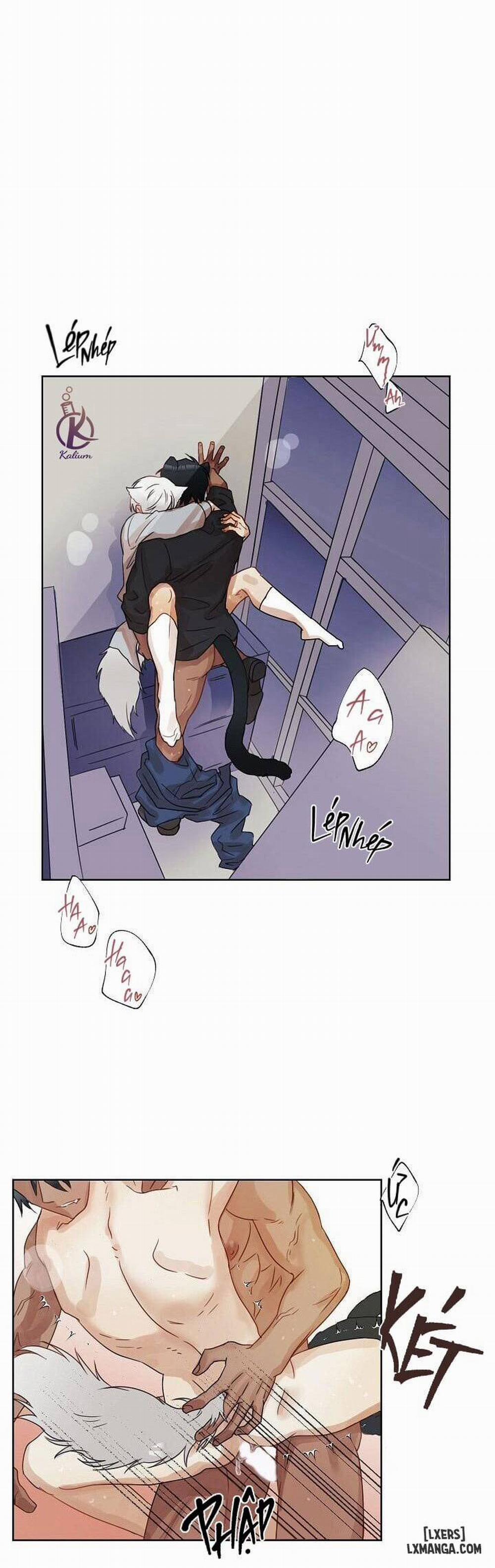 Anh, Sẽ Làm Chồng Của Em 1 trang 16