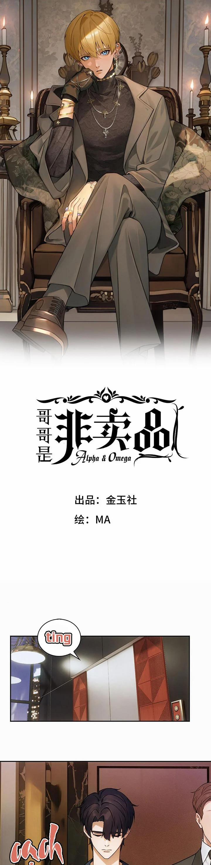 Anh Trai Là Hàng Không Bán 6 trang 1