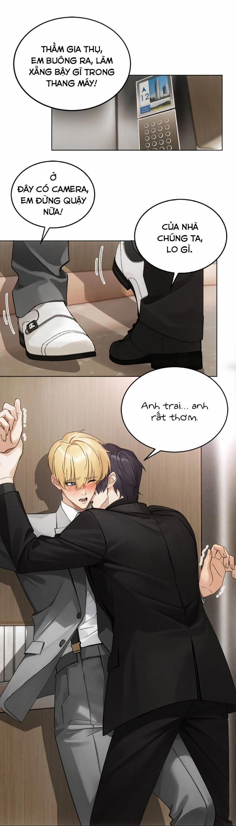 Anh Trai Là Hàng Không Bán 9 trang 2