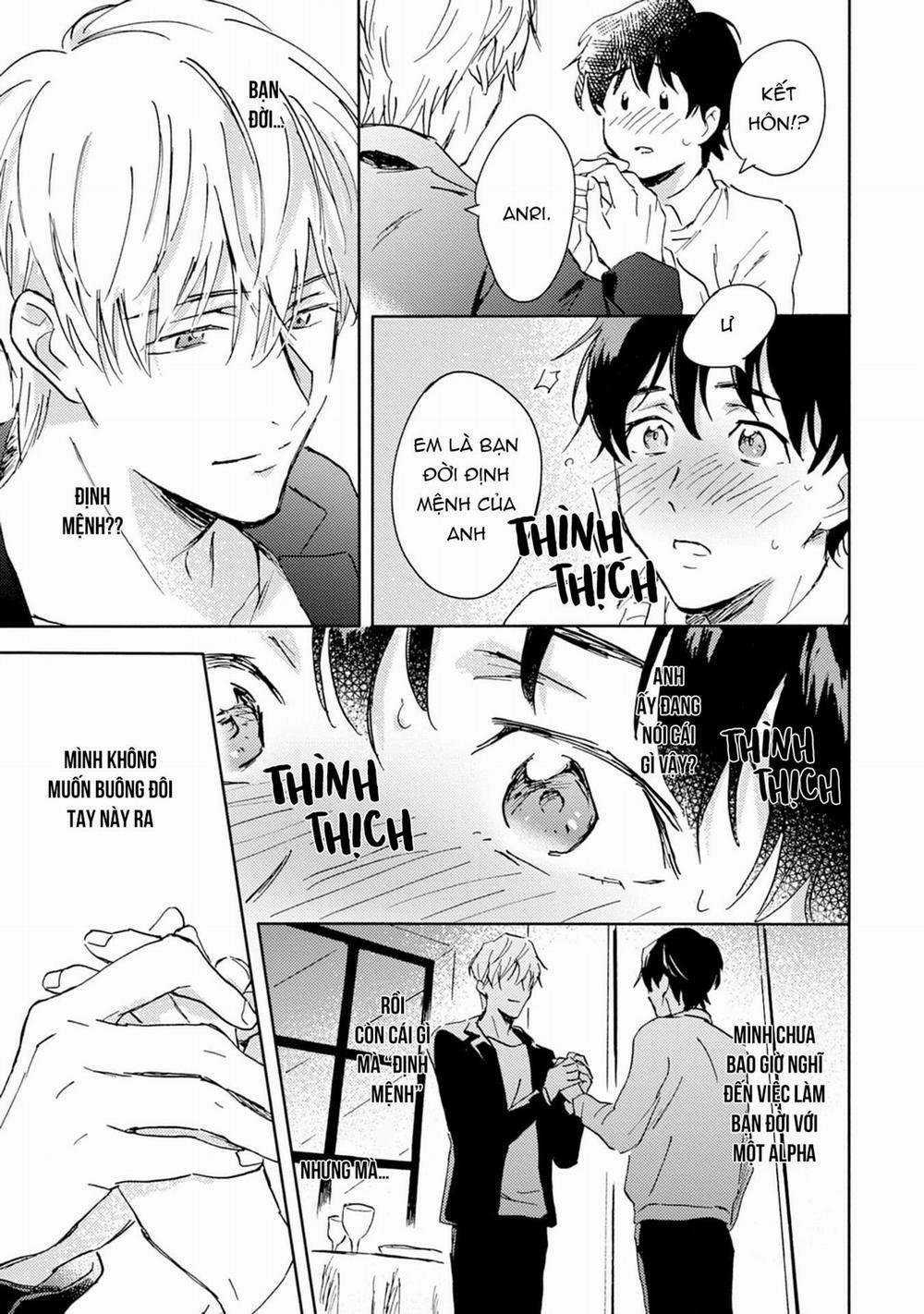 Anh trai muốn kết hôn với một Omega như tôi 1 trang 16