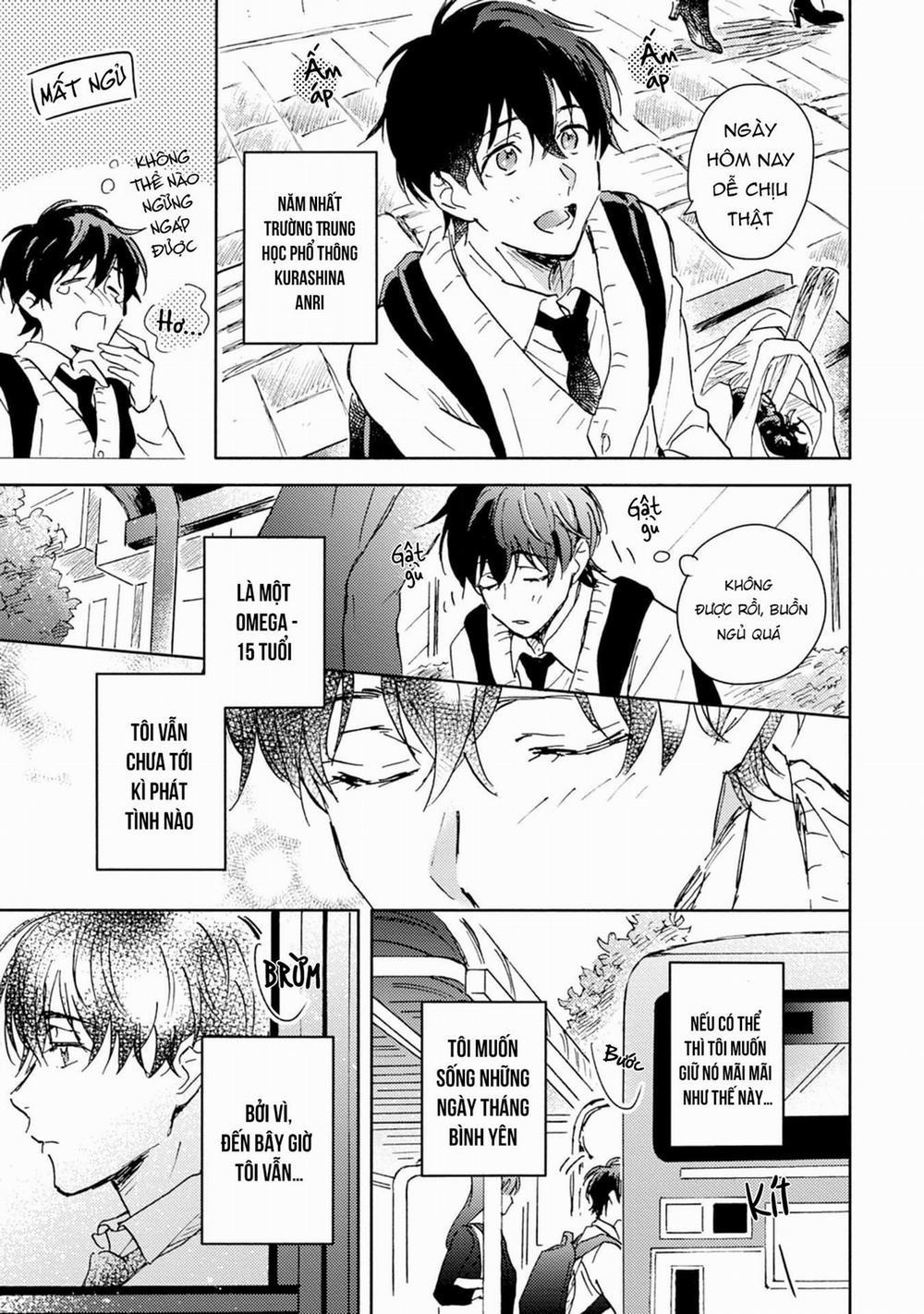 Anh trai muốn kết hôn với một Omega như tôi 1 trang 4