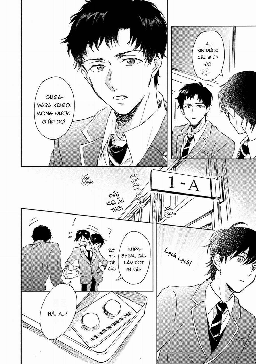 Anh trai muốn kết hôn với một Omega như tôi 2 trang 11