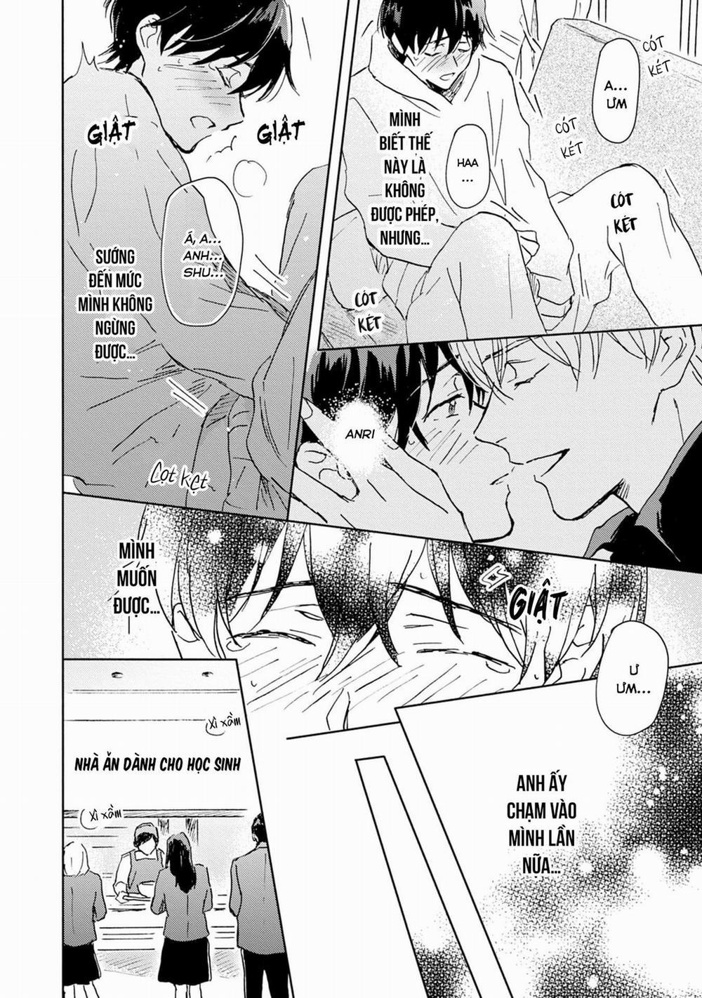 Anh trai muốn kết hôn với một Omega như tôi 3 trang 11