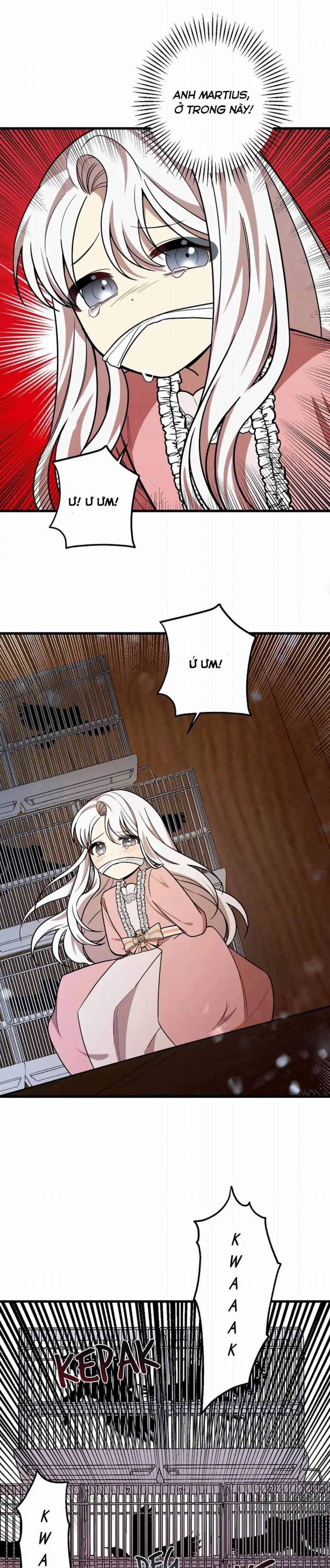 Anh Trai Nguy Hiểm Của Tôi 15 trang 13